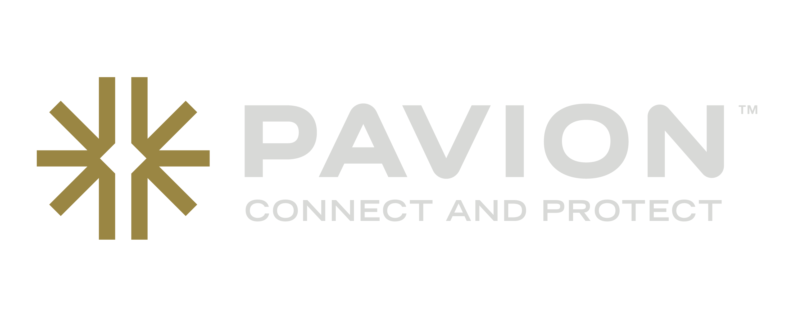 pavion_tagline_logo_horizontal_grey